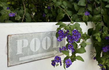 Alentejo Living - Foto 45