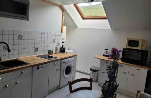 Appartement cosy rénové au calme - Foto 19