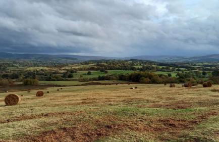 1 Bed in Builth Wells oc-p27441 - Foto 15