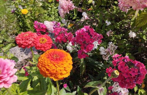 Sophienquelle Schweizermühle - Foto 37