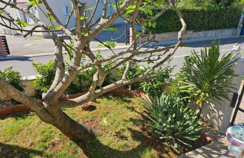 Apartment Luna - Foto 4