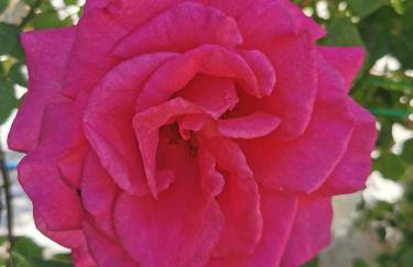 Kardiakafti Village - Foto 51