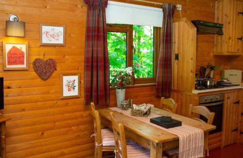 Fiddlers Green Log Cabin Tenby - Foto 13