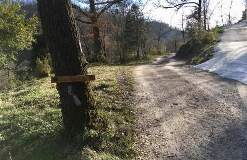 Can Poca Roba - Foto 15