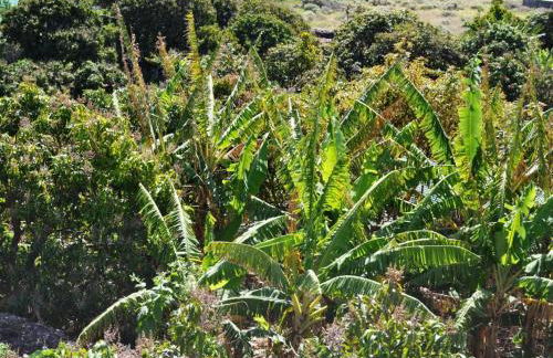 Villa GUACIMARA - Foto 7