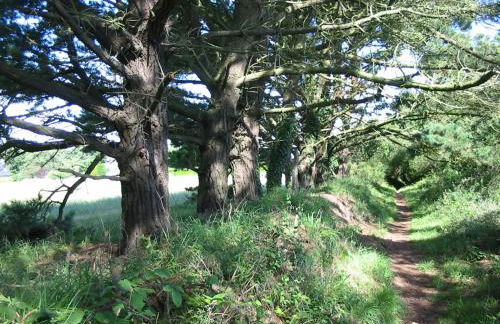 En Bretagne, villa de 2 à 8 pers , meublé de tourisme 3 étoiles nichée dans un écrin de verdure à 2500m de la plage - Foto 16