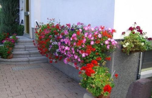 Studio Rouffach - Foto 23