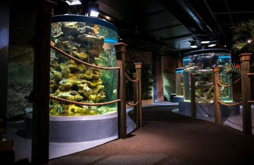 Apt+ 2 Queens+Bunkbed+Free Parking 55"TV - Photo 55