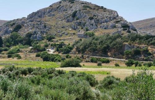 Stone Mansion of 1890 - Foto 36