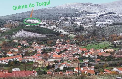 Quinta do Torgal - Alojamento Local - Foto 22