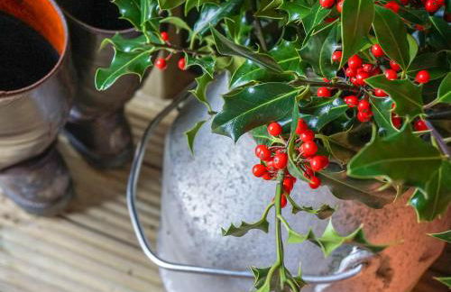 Cwt Celyn Qu7605 - Photo 8