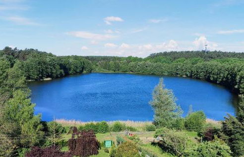 Ferienhaus Wokuhl-Dabelow - Foto 19