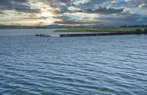 Ferienhaus Min Hüsung - Foto 15