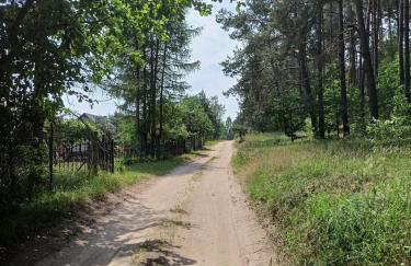 Dom Pod Żurawiami - Foto 29