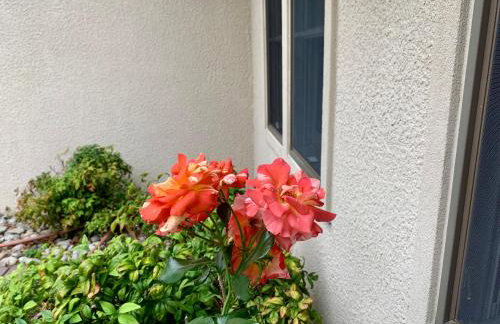 Sai Villa on Maurice River - Foto 24