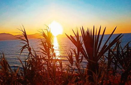 OrangeBalestrate - Foto 29