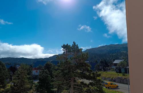 Les myrtilles La Pierre Saint Martin - Foto 14