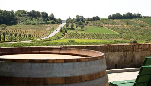 Monna Caterina Wine Resort - Foto 2