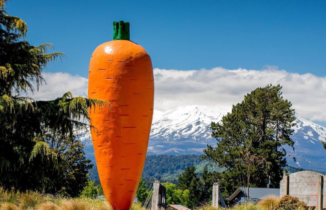 Ohakune TOP 10 Holiday Park - Foto 48