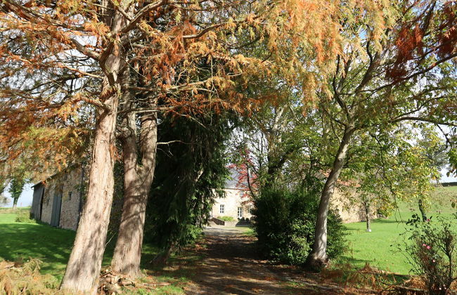 La Tronçonnais - Foto 24