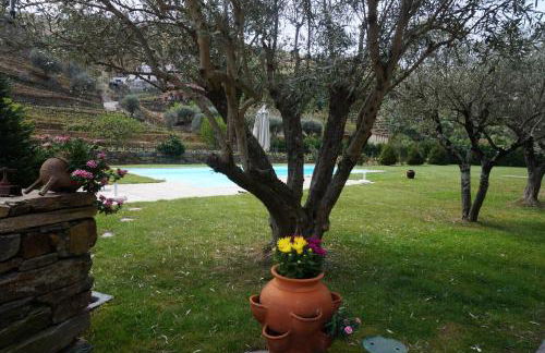 Quinta Madureira - Foto 58