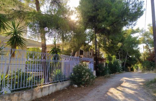 Panorama View Apartment 1 - Foto 25