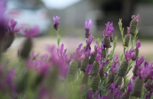 Home Idassa - Foto 12