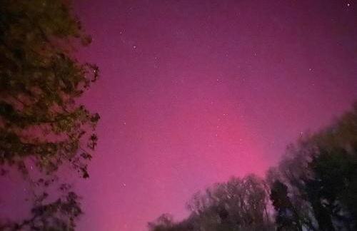 Apartment am Waldrand Nichtraucher gemütlich und ruhig - Foto 20