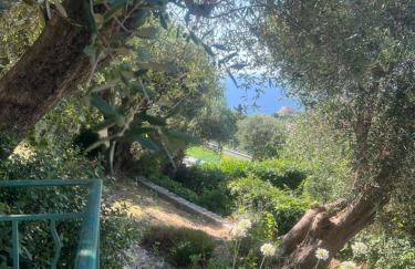 Belle villa avec piscine proche monaco - Foto 2