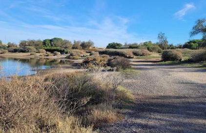 "L'Atrium"-Villa de standing -Piscine-Spa-Salle de jeux - Foto 77