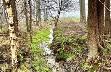 Little Cottage - Foto 49