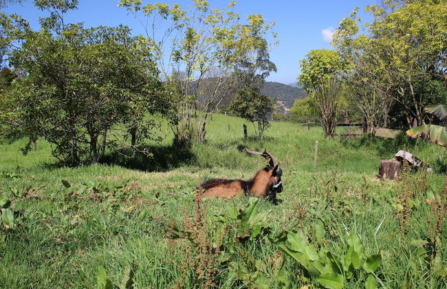 El Hostel Granjero - Foto 45