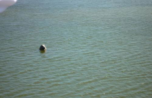 Zum alten Seemann - Foto 14