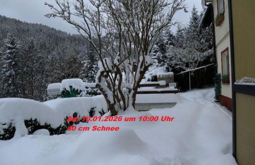 Birkenstübchen - Foto 43