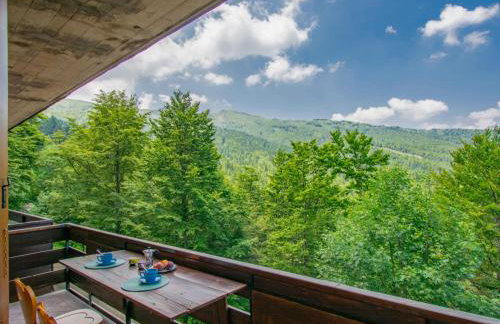 Apartment Bravone by Interhome - Foto 27