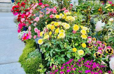 Luxury Comfort Near Downtown - Foto 12