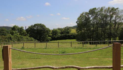 Owl's Hollow - Foto 4