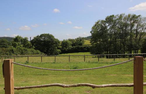 Owl's Hollow - Foto 4