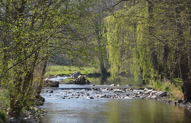 Spacious Family Home, Sosoye - Foto 56