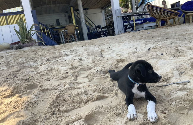 Cocohuts Cambodia - Foto 50