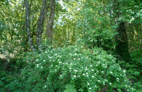 Villa di Piera - Foto 62