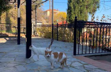 La Petite Bastide - Foto 14