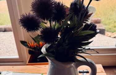 Willow Lodge - Foto 11