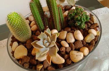 Home Sisters - Foto 41