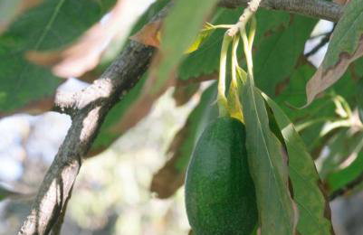 La colina buena - cosy casita for nature lovers - Foto 31