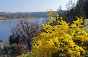 Les mimosas du Lac Vue panoramique sur le lac - Foto 23
