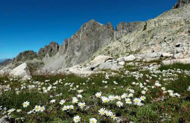 Chalet Dolomiti - Foto 33