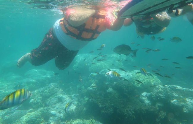 Zihuatanejo Bay Kayaking & Snorkelling - Photo 8