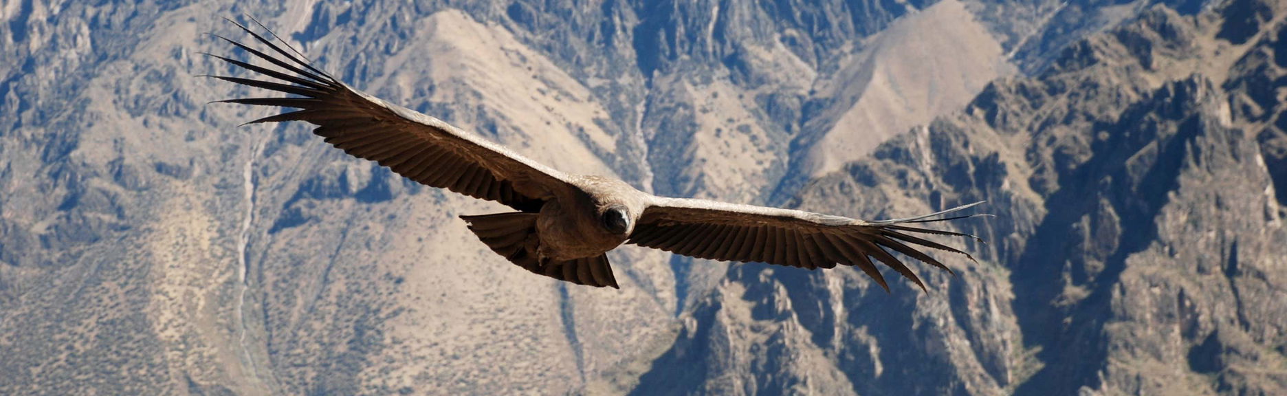 Private Trip from Arequipa