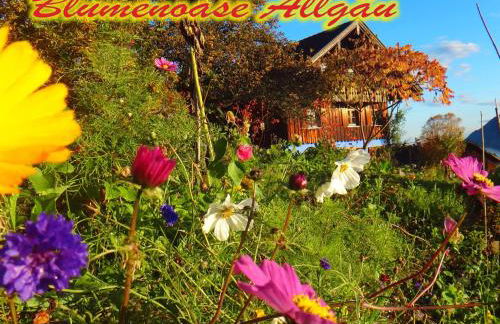 Blumenoase Allgäu - Foto 14